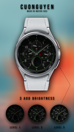 Watch face CNW0014 Screenshot 1