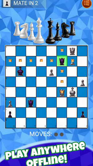 Mate in 1 Move: Chess Puzzle Screenshot 2