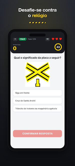 Jogo das Placas de Trânsito Screenshot 3