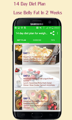 14 Day Diet Plan- lose belly fat in 2 weeks Screenshot 3