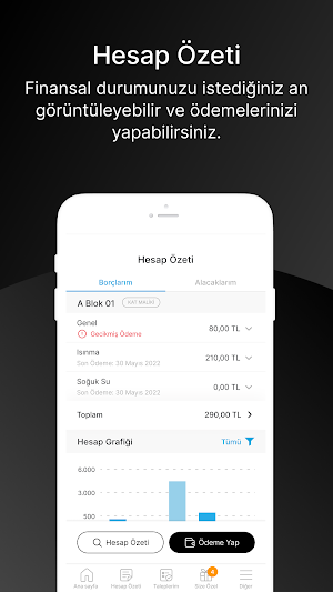 Lorem Yönetim Hizmetleri Screenshot 3