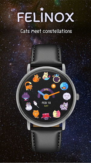 Felinox Watch Face Screenshot 0