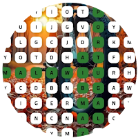Cross Word Quest