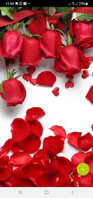 10000 Flowers Wallpapers Screenshot 0