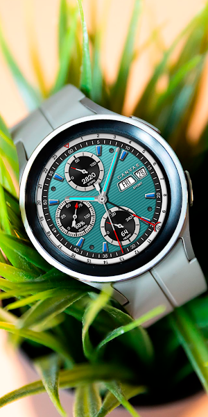 CANVAS Sport CTS07 Watch face Screenshot 3