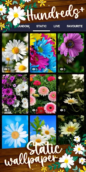 daisy wallpaper Screenshot 3