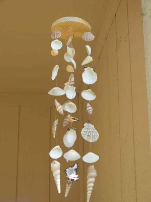DIY Seashell Craft Ideas Screenshot 1