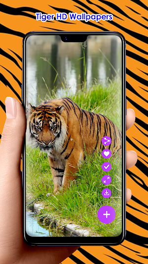 Tiger HD Wallpapers Screenshot 1
