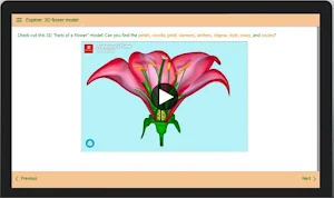 Cabbage Patch - Marwa Rakha Screenshot 3
