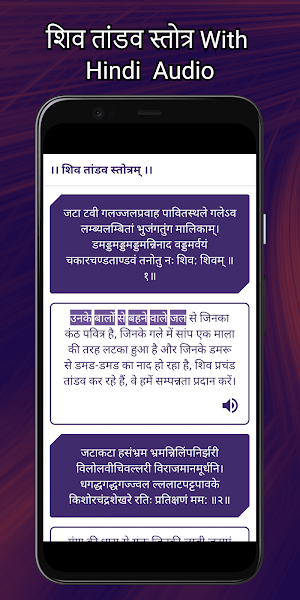 Lord Shiva Chalisa- शिव चालीसा Screenshot 1