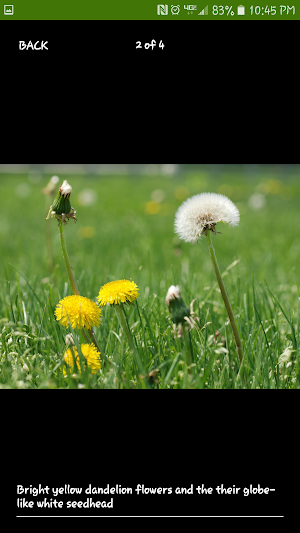 Purdue Turf Doctor Screenshot 2