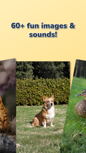 VocaLearn - Listen and learn Screenshot 3