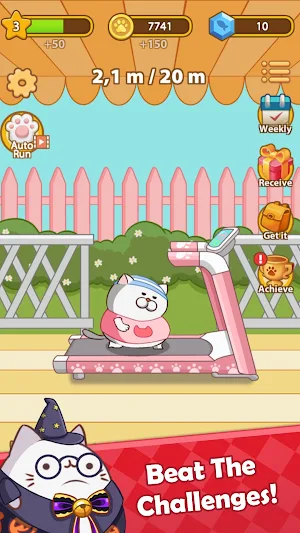 Cat Run - Kitty Rush Screenshot 1