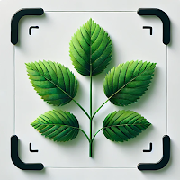 Plant Identifier - Plantio
