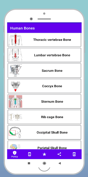 Human Bones Screenshot 0