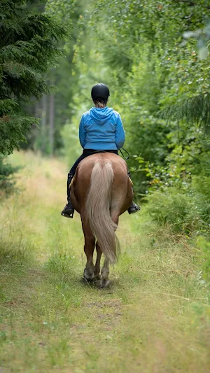 Horseback Riding Wallpaper Screenshot 1