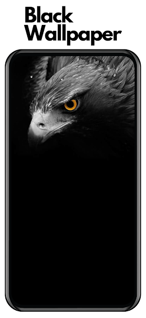 Black Wallpapers in HD 4K Screenshot 2