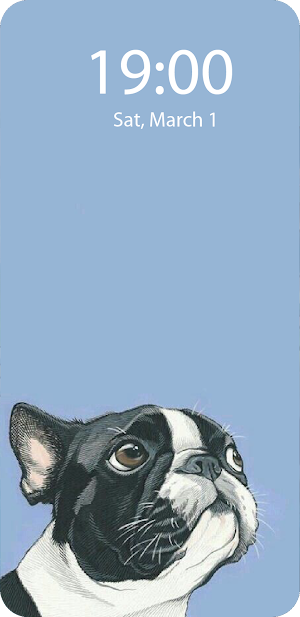 Boston Terrier Live Wallpaper Screenshot 3