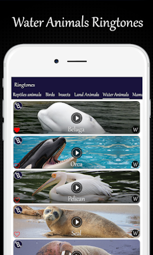 Animals and Birds Ring Tones Screenshot 2