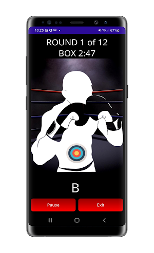 Punch Perfect: Boxing Workouts Screenshot 1