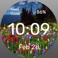 Forest Glade Watch Face