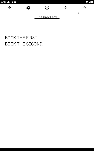 Book, The Grey Lady Screenshot 2