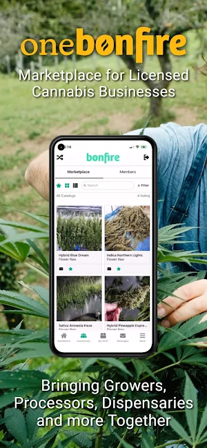 OneBonfire: Cannabis Markets Screenshot 0