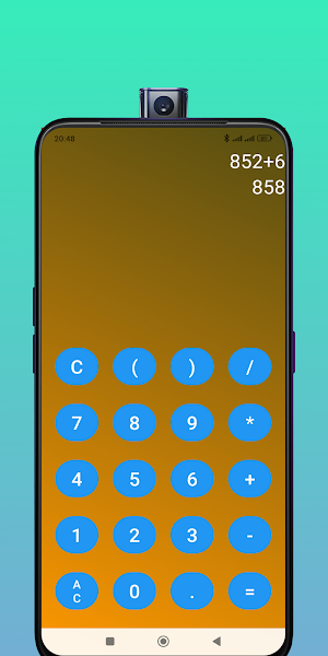 RoyalArithmetic Screenshot 2