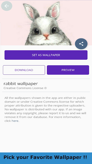 Rabbit Wallpaper 4K Screenshot 1