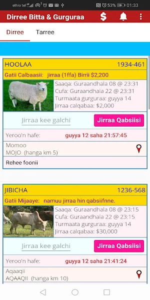 Dirree Marketplace Screenshot 1