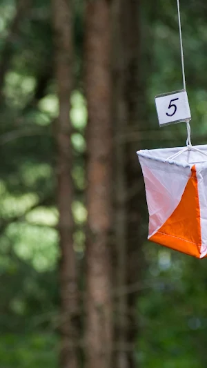 Orienteering Wallpaper Screenshot 3