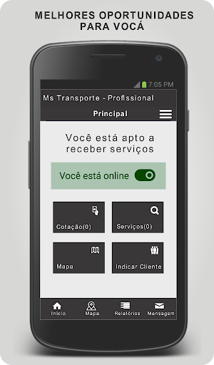 Ms Transporte - Profissional Screenshot 0