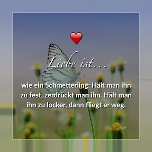 Liebesgedichte und Liebessprüc Screenshot 0