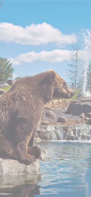 Minnesota Zoo Screenshot 0