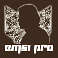 Emsi Pro