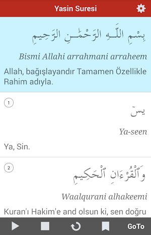 Surah Yasin Turkish Screenshot 2