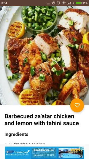 Barbecue Recipes Offline Screenshot 1