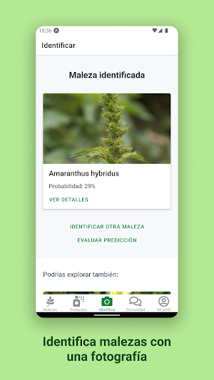 ZAMID Screenshot 1