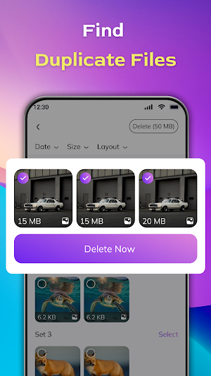 File Recovery & Duplicate File Screenshot 3
