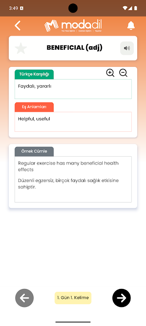 YÖKDİL SOSYAL Kelimeleri Screenshot 2