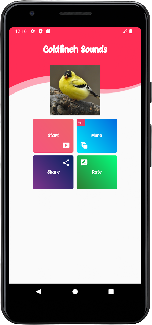 Goldfinch Sounds Screenshot 0