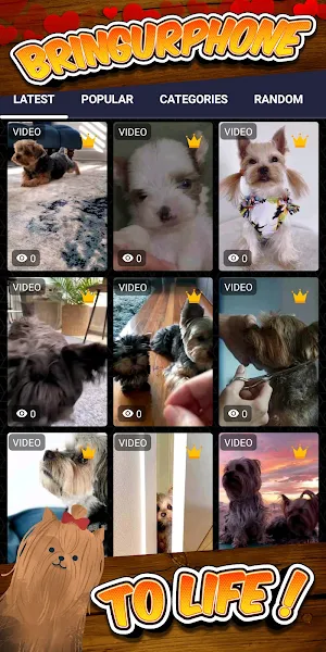 yorkie wallpaper Screenshot 1