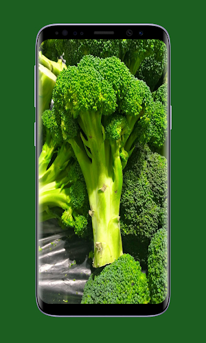 Broccoli Wallpapers Screenshot 1
