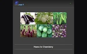eggplant cultivation Screenshot 2