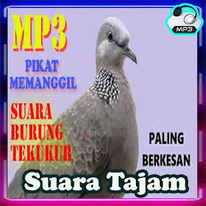 Pemikat Ampuh Suara Tekukur Screenshot 2