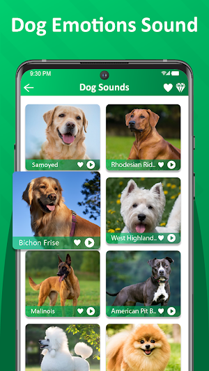 Dog Sounds & Dogs Breed Screenshot 2
