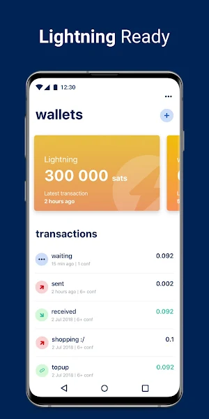 BlueWallet Bitcoin Wallet Screenshot 2