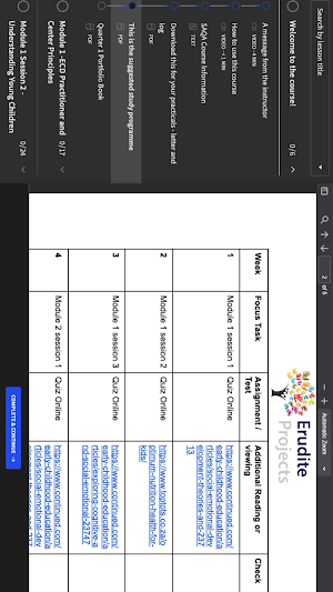 Erudite Projects Screenshot 2