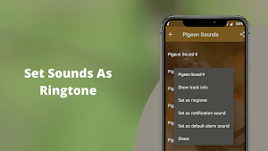 Pigeon Sounds - Pigeon Hunting Calls Screenshot 3