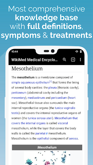 WikiMed - Offline Medical Encyclopedia Screenshot 2